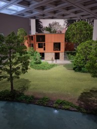 560655212356829288_1